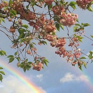 Meet your Posher, Chloe